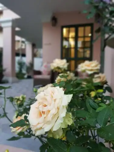Rosy - 32