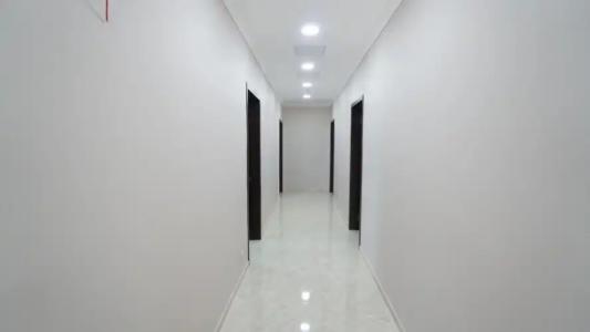 horizon - 12