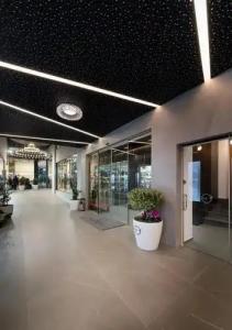 Elia Ermou Athens - 17