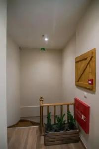 Ederlezi Boutique - 13