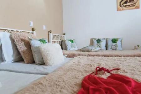 OASIS APARTMENTS - 133