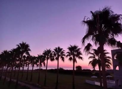 Delfina Tropic Beach - 37