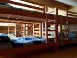 Bunk Bed in Mixed Dormitory Room