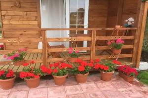 Otdykh Na Kurshskoy Kose Guest House, Morskoye