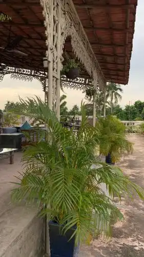 The Rajbari Bawali - 5