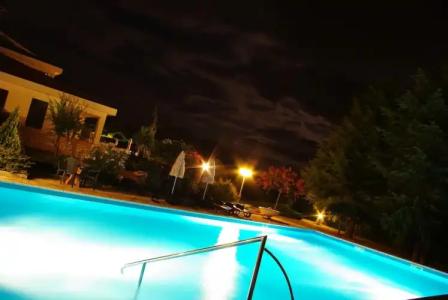 Holiday - 8