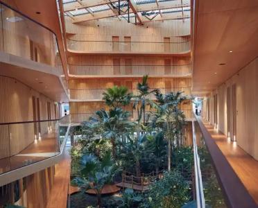 Jakarta Amsterdam - 14