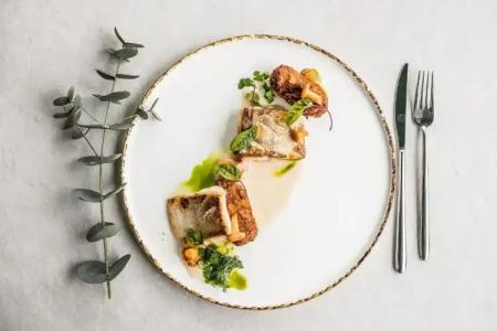 Aries & SPA Wisla - 12