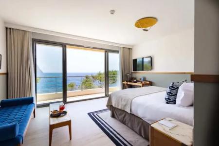 Hôtel les Roches Blanches - 119