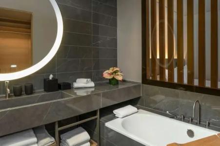 Hyatt Regency Zurich Airport Circle - 37