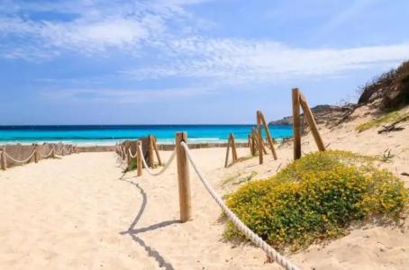 Parque Nereida Suites - 26