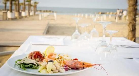 Welcome - All inclusive - 11