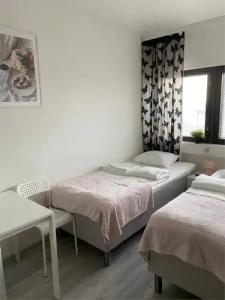 Inn Tourist Hostel - 53