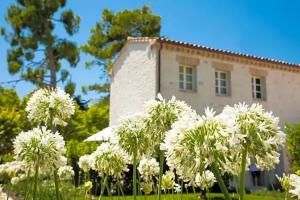 San Michele Relais & Spa, Sirolo