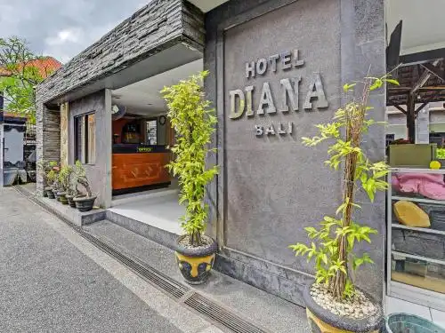 OYO 91498 Diana - 12