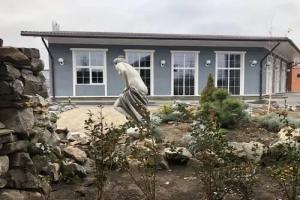 Hotel Volta, Novocherkassk