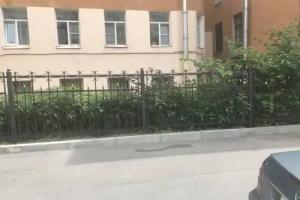 Beliy Begemot Hotel