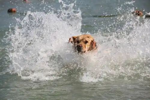 "Montazhnik" Tourist base - 27