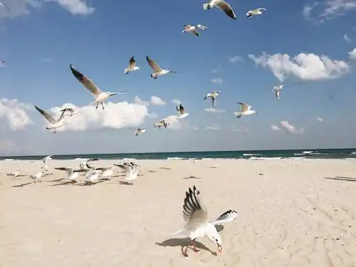 "Montazhnik" Tourist base - 21