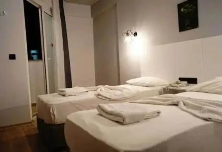 Aslan Sand & City - 50