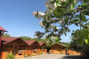 Guest House Lev, Psyrdzha