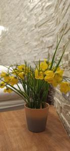 Лида Драйв Плюс - 71