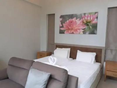 Areeca Mahogany Zone SHA Plus - 32
