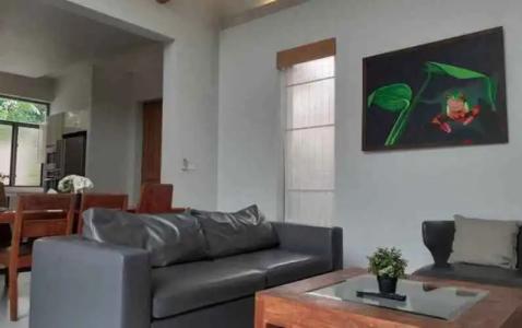 Areeca Mahogany Zone SHA Plus