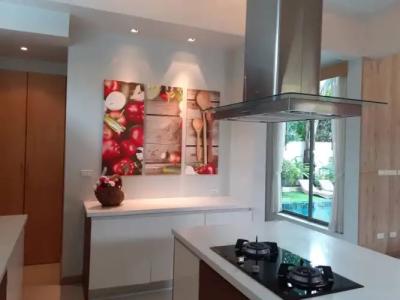Areeca Mahogany Zone SHA Plus - 20