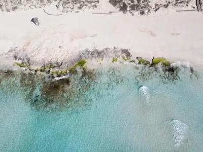 Sa Pedrera Suites & Spa - 14