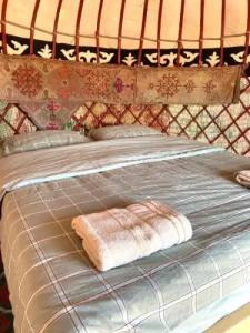 Yurt camp Sonun - 22