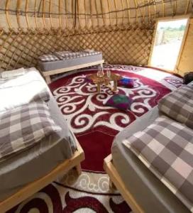 Yurt camp Sonun - 17