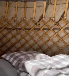 Yurt camp Sonun - 15