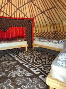 Yurt camp Sonun - 2