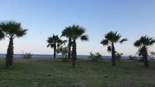 Vista Marina - 29