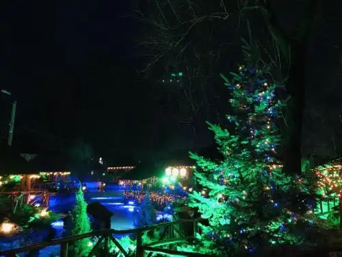Pensiune turistică Hanul lui Vasile - 40