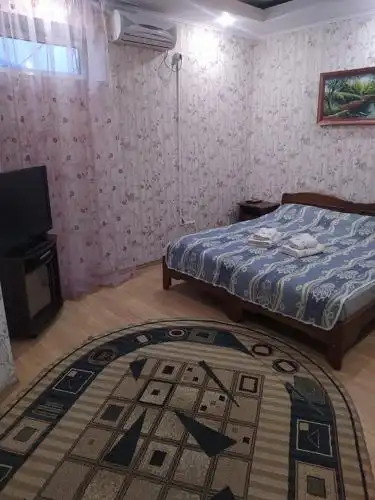 Pensiune turistică Hanul lui Vasile - 25