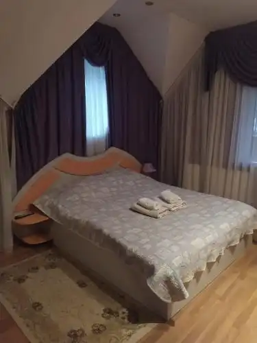 Pensiune turistică Hanul lui Vasile - 29