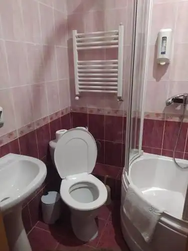 Pensiune turistică Hanul lui Vasile - 34