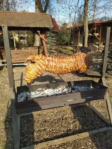 Pensiune turistică Hanul lui Vasile - 46