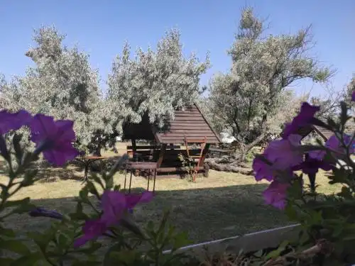 Lotsman Guest house - 40