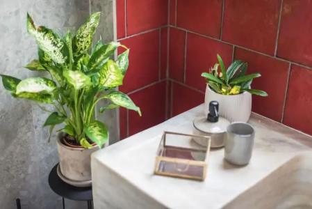 Moon And Stars Athens - 33