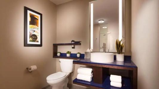 GLo Best Western Nashville - 42