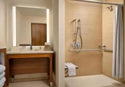 Element Anaheim Resort Convention Center - 38