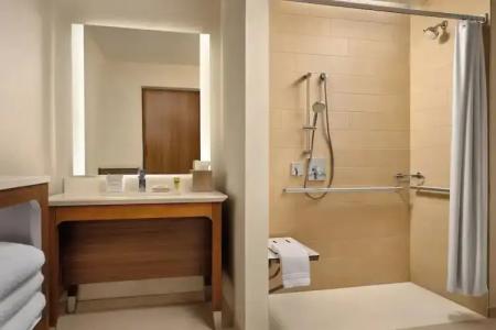 Element Anaheim Resort Convention Center - 23