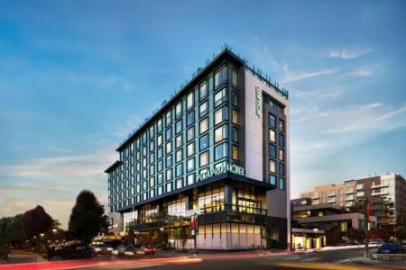 The Jacquard, Autograph Collection - 104