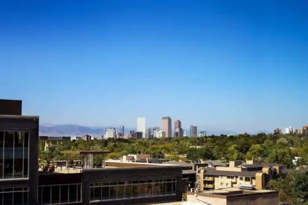 The Jacquard, Autograph Collection - 109