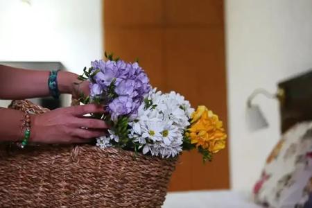 Alaçatı Albatross - 36