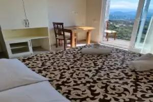 Green Cape Tower, Batumi