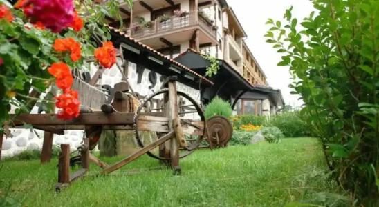 Molerite Complex - 9